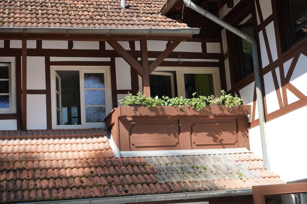 Haus Nilson Daire Gengenbach Dış mekan fotoğraf